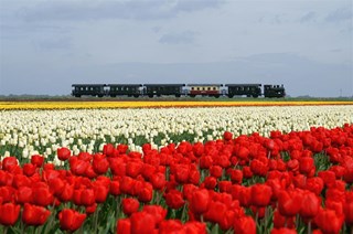 Spannendste Tijdreis met Stoomtram en Boot! 